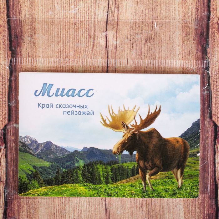 Магнит двусторонний «Миасс»