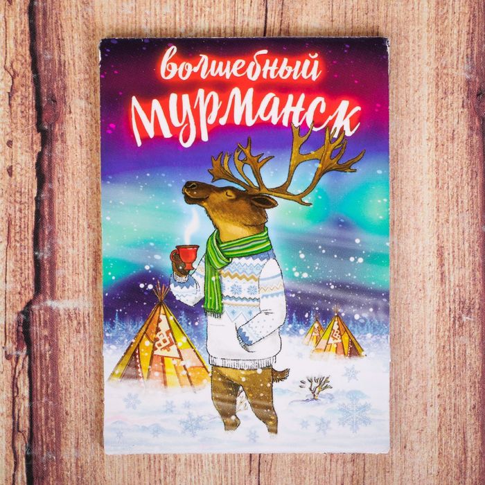 Магнит двусторонний «Мурманск»