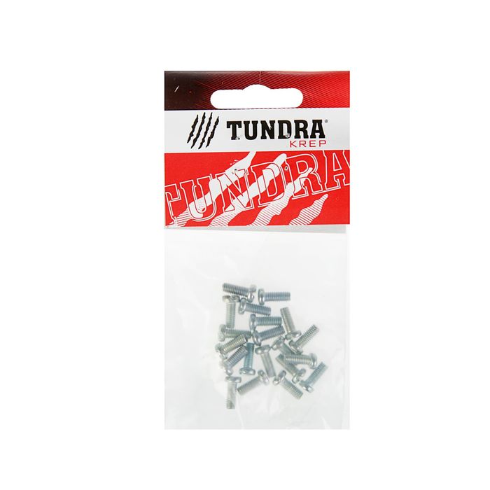 Винт DIN84 TUNDRA krep, с цилиндрической головкой, М4х10 мм, оцинкованный, 20 шт.