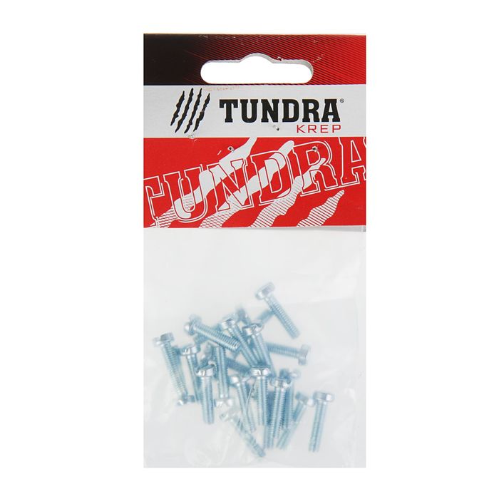 Винт DIN84 TUNDRA krep, с цилиндрической головкой, М4х16 мм, оцинкованный, 18 шт.