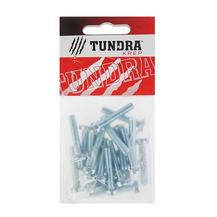 Винт DIN84 TUNDRA krep, с цилиндрической головкой, М6х30 мм, оцинкованный, 20 шт.