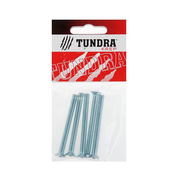 Винт DIN965 TUNDRA krep, с потайной головкой, М6х60 мм, оцинкованный, 5 шт.