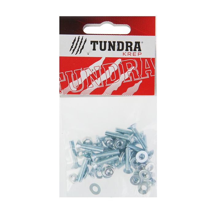 Винт DIN965 TUNDRA krep, с потайной головкой, M4х20 мм, + гайка + шайба, оцинкованный, 20 шт 25897