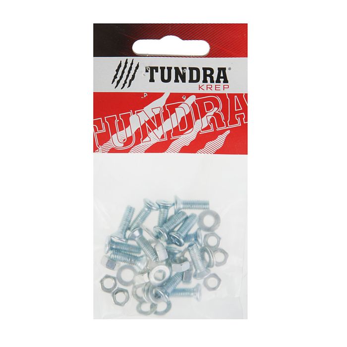 Винт DIN965 TUNDRA krep, с потайной головкой, M5х16 мм, + гайка + шайба, оцинкованный, 14 шт 25897