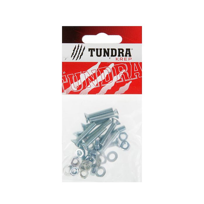 Винт DIN965 TUNDRA krep, с потайной головкой, M5х25 мм, + гайка + шайба, оцинкованный, 11 шт 25897