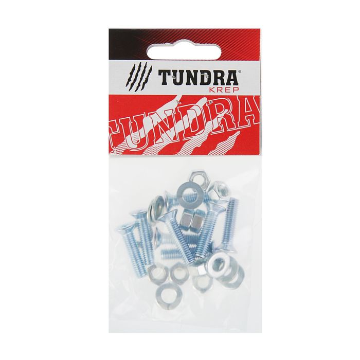 Винт DIN965 TUNDRA krep, с потайной головкой, M6х25 мм, + гайка + шайба, оцинкованный, 8 шт. 25897