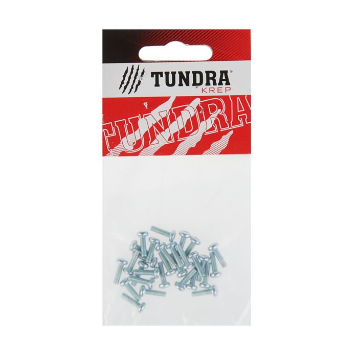 Винт DIN7985 TUNDRA krep, с полукруглой головкой, М3х10 мм, оцинкованный, 30 шт.