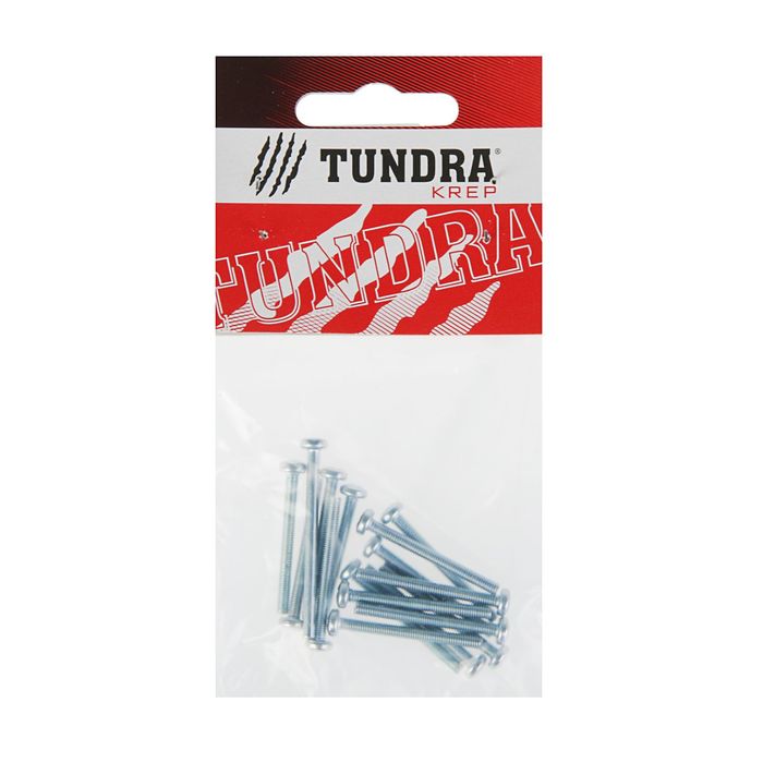 Винт DIN7985 TUNDRA krep, с полукруглой головкой, М3х30 мм, оцинкованный, 16 шт.