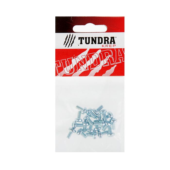 Винт DIN7985 TUNDRA krep, с полукруглой головкой, М4х8 мм, оцинкованный, 20 шт.