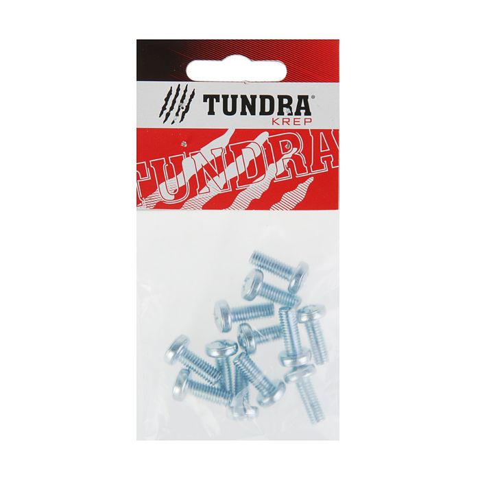 Винт DIN7985 TUNDRA krep, с полукруглой головкой, М6х16 мм, оцинкованный, 12 шт.