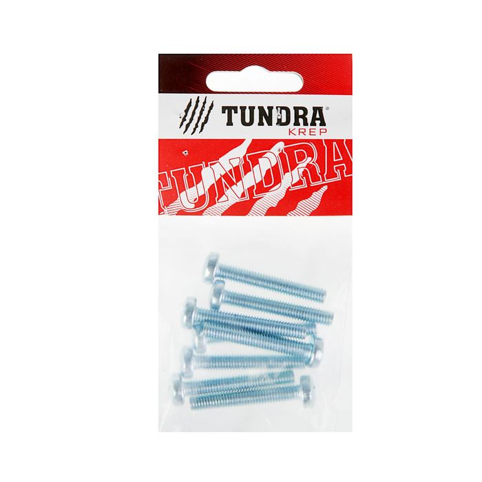 Винт DIN7985 TUNDRA krep, с полукруглой головкой, М6х40 мм, оцинкованный, 8 шт.