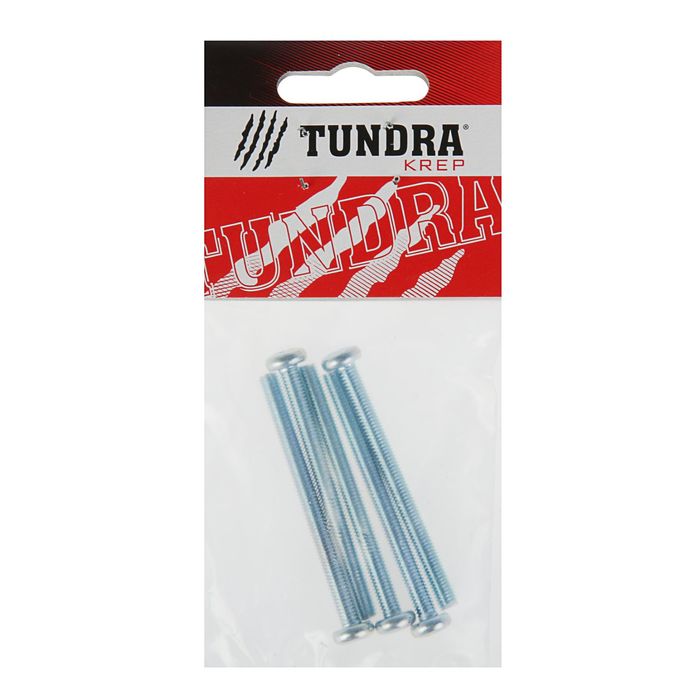 Винт DIN7985 TUNDRA krep, с полукруглой головкой, М6х60 мм, оцинкованный, 5 шт.