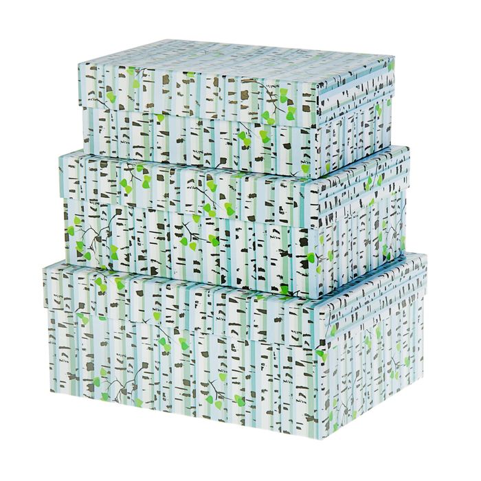Набор коробок 3в1 "Березки", 23 х 16 х 9,5 - 19 х 12 х 6,5 см