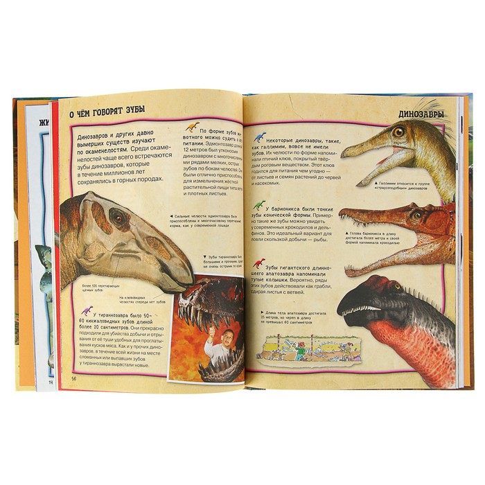 Энциклопедия для детей «Всё о динозаврах»