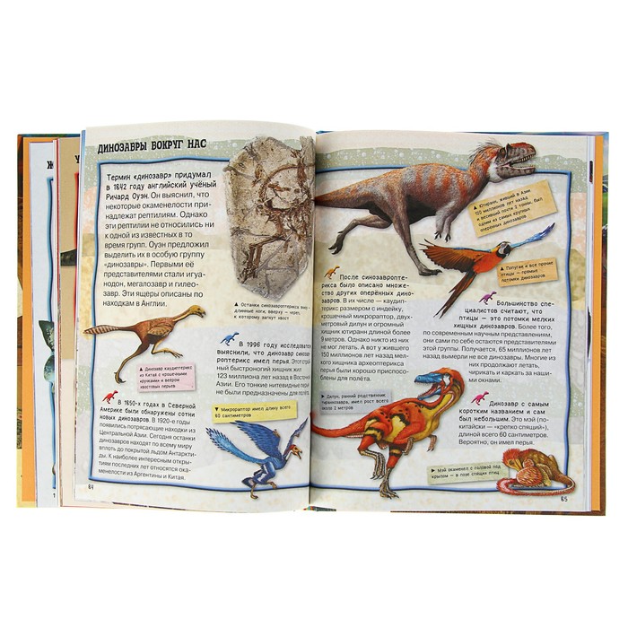 Энциклопедия для детей «Всё о динозаврах»