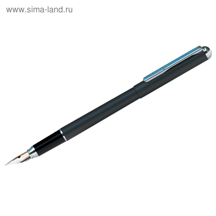 Ручка перьевая Silver Prestige, пишущий узел 0.8 мм, корпус чёрный/хром, пластиковый футляр