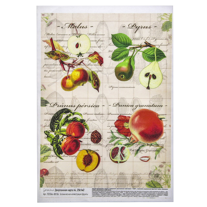 Декупажная карта Geronimo "Ботаническая иллюстрация фрукты" (набор 3 шт) формат А4 25г/м2