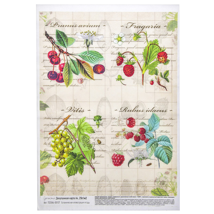 Декупажная карта Geronimo "Ботаническая иллюстрация ягоды" (набор 3 шт) формат А4  25г/м2