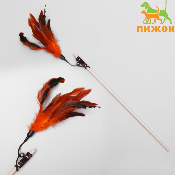 фото Дразнилка-удочка с перышками и бубенчиком, деревянная палочка 40 см, микс цветов пижон