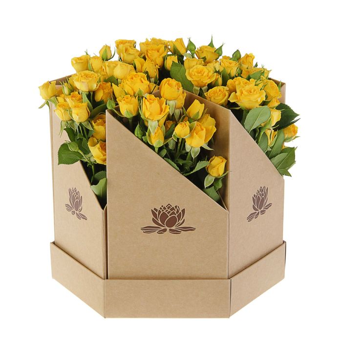 Коробка-ваза сборная "Лилия крафт", 29 х 29 х 25 см