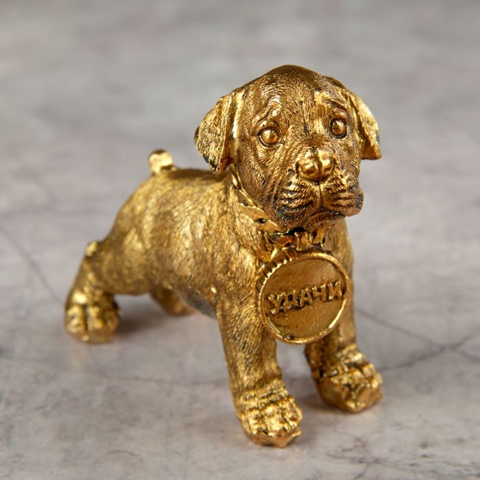 Сувенир "Щенок с монеткой. Удачи", золото