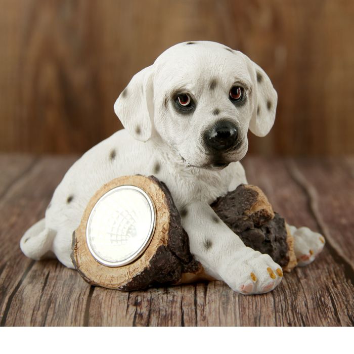 Сувенир полистоун от солнечной батареи "Далматинец" 10,5х13,5х10 см