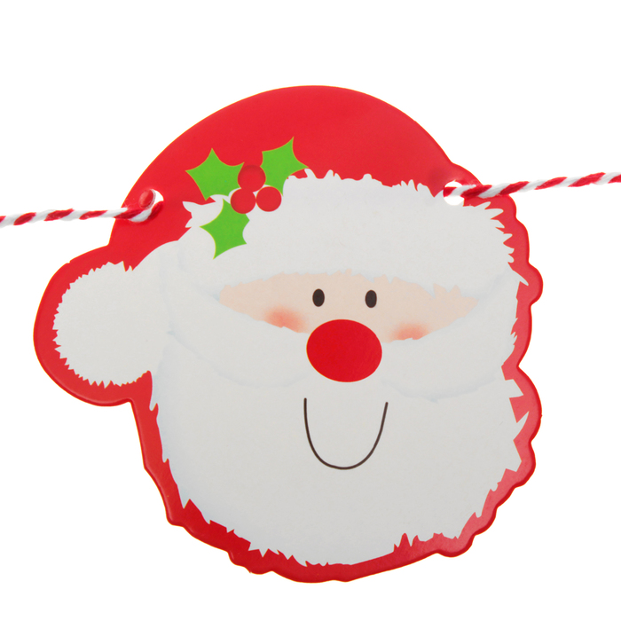 Гирлянда "Новогоднее украшение"