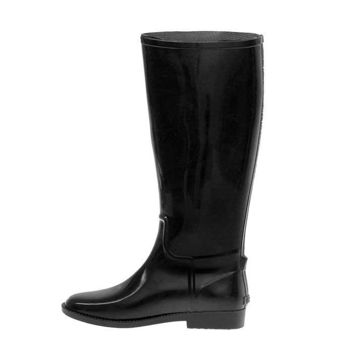 Сапоги женские арт. 365-00 (черный) (р. 36)