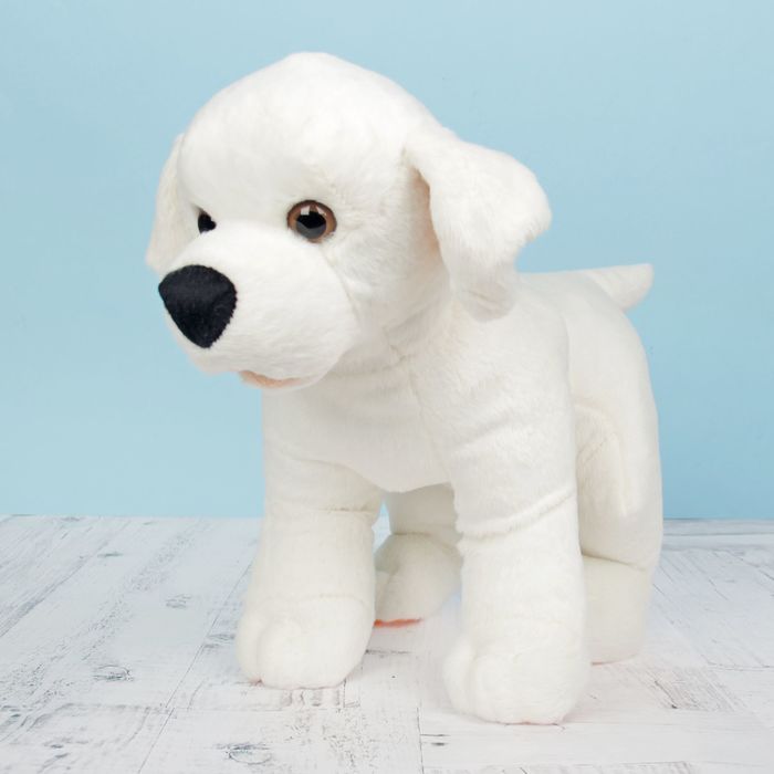 Мягкая игрушка "Лабрадор Лари", 29 см