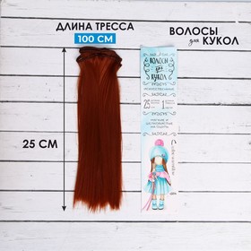 Волосы - тресс для кукол «Прямые» длина волос: 25 см, ширина: 100 см, цвет № 350 Ош