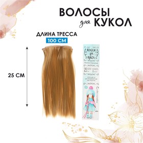 Волосы - тресс для кукол 'Прямые' длина волос 25 см, ширина 100 см, цвет № 27 Ош