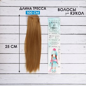 Волосы - тресс для кукол «Прямые» длина волос: 25 см, ширина: 100 см, цвет № 26 Ош