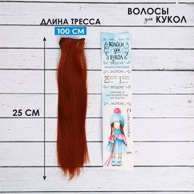 Волосы - тресс для кукол «Прямые» длина волос: 25 см, ширина:100 см, цвет № 13 Ош