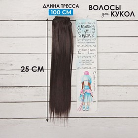 Волосы - тресс для кукол «Прямые» длина волос: 25 см, ширина: 100 см, цвет № 2 Ош