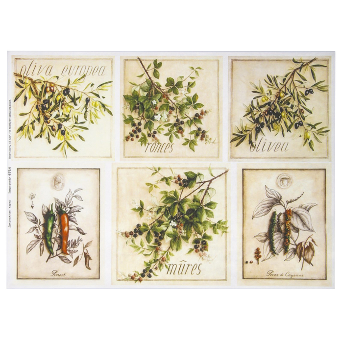 Декупажная карта "Оливковые ветви и специи" плотность  45г/м2  формат А4 (6714)