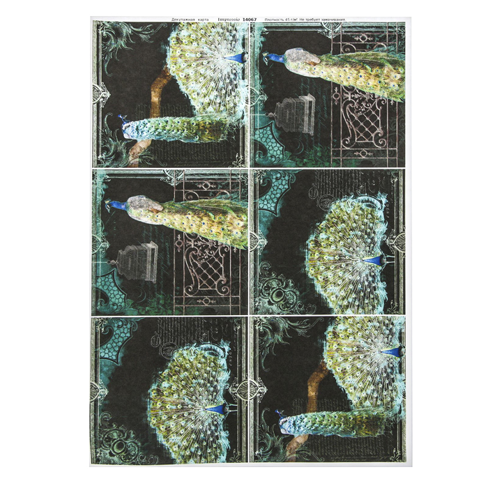Декупажная карта "Ночь. Павлины" плотность  45г/м2  формат А4 (14067)