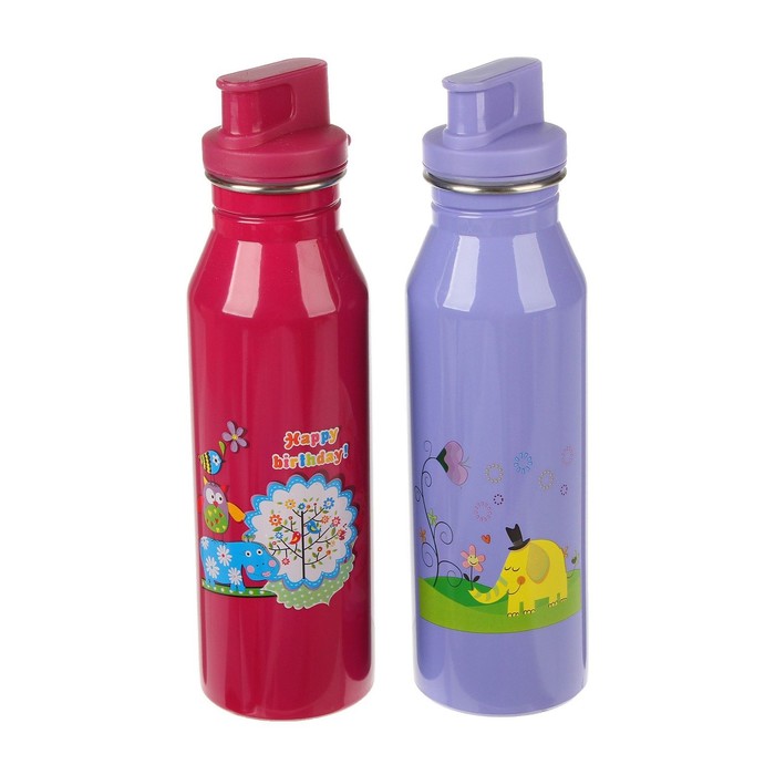 Фляжка туристическая из нержавеющей стали с поильником и чехлом, 750 мл, микс