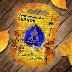 

Значок «Владивосток»