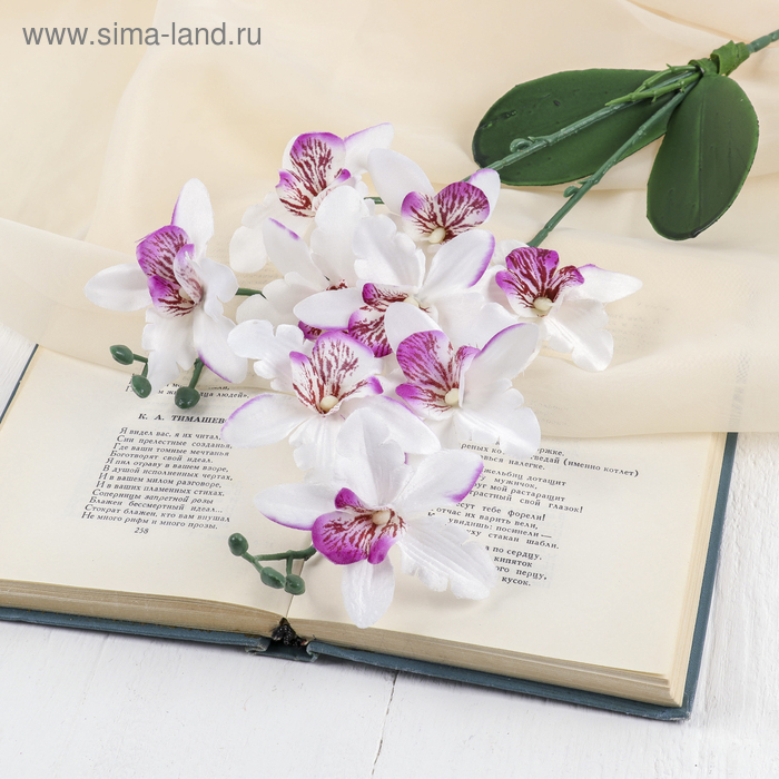Цветы искусственные Орхидея Фаленопсис мультифлора 6х37 см, бело-сиреневый цветы искусственные орхидея фаленопсис мультифлора 6х37 см бело сиреневый