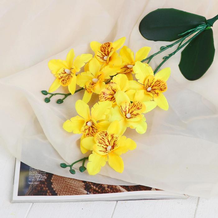 Цветы искусственные Орхидея Фаленопсис мультифлора 6х37 см, жёлтый цветы искусственные орхидея фаленопсис мультифлора 6х37 см бело сиреневый