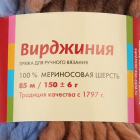 Пряжа "Вирджиния" 100% мериносовая шерсть 85м/150гр (4366, секционный) от Сима-ленд