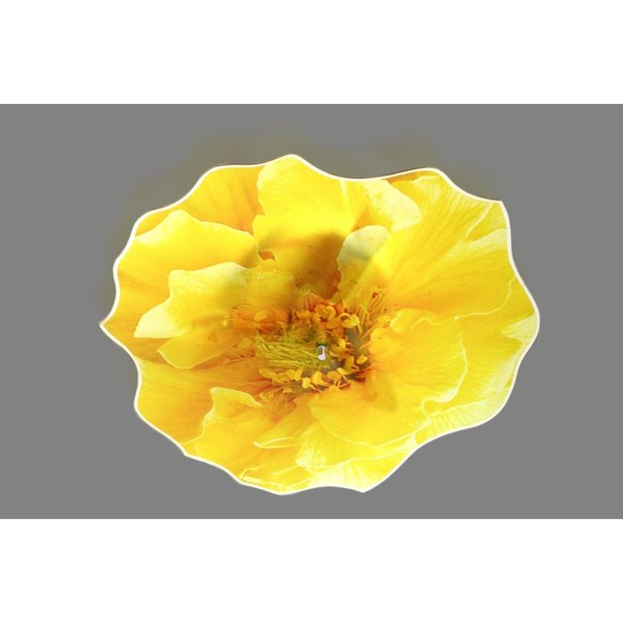 Люстра "Камея" 3 лампы E14 40Вт желтый