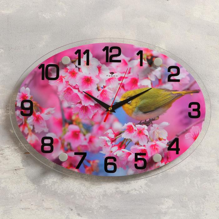 Часы настенные овальные "Птичка на ветке", 24х34 см микс