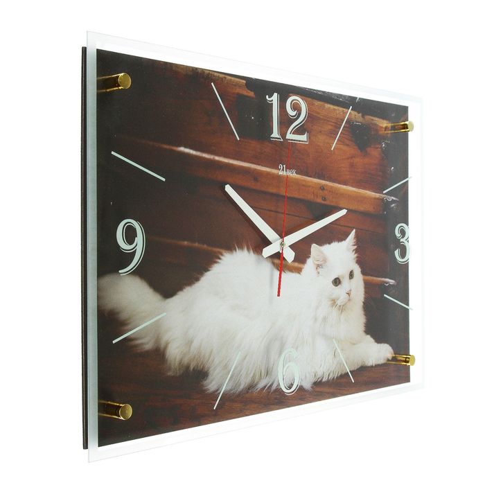Часы настенные прямоугольные "Белая кошка", 40х56 см