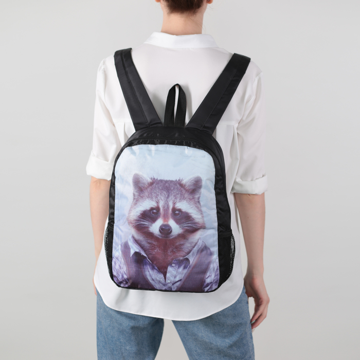 Ранец молодёжный "Енот", 1 отдел на молнии, 2 наружных кармана