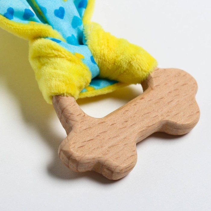 Развивающая игрушка-грызунок «Для маленьких принцесс», форма машинка