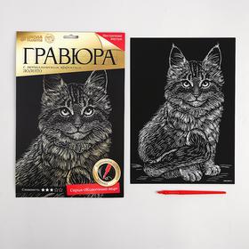 

Гравюра «Котёнок мейн-кун» с металлическим эффектом «золото» А4