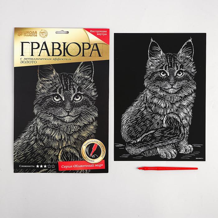 Гравюра "Котёнок мейн-кун", металлический эффект "золото", 21 х 30 см