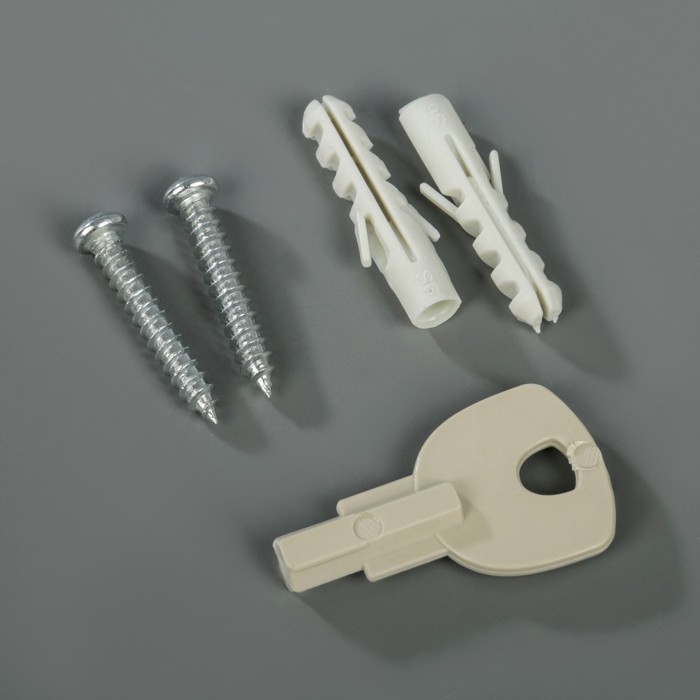 Дозатор для жидкого мыла Accoona A184, настенный, 350 мл, пластик, цвет белый