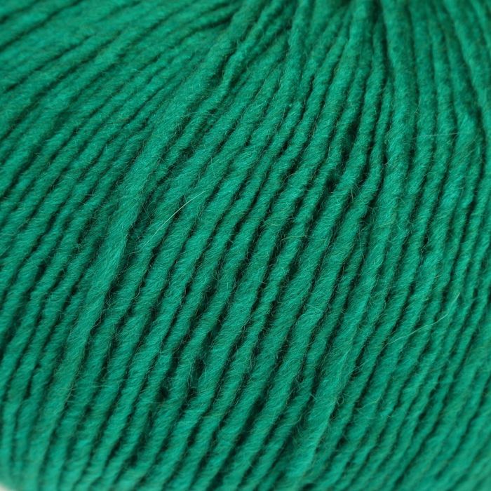 Пряжа "Азалия" 40% меринос. шерсть, 60% акрил 270м/100гр (2286, зел. луг)